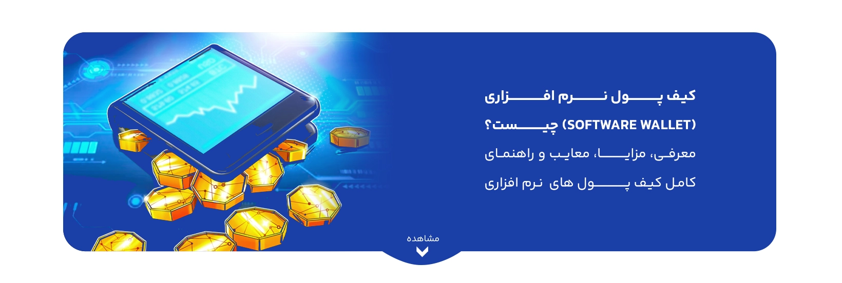 what-is-software-wallet