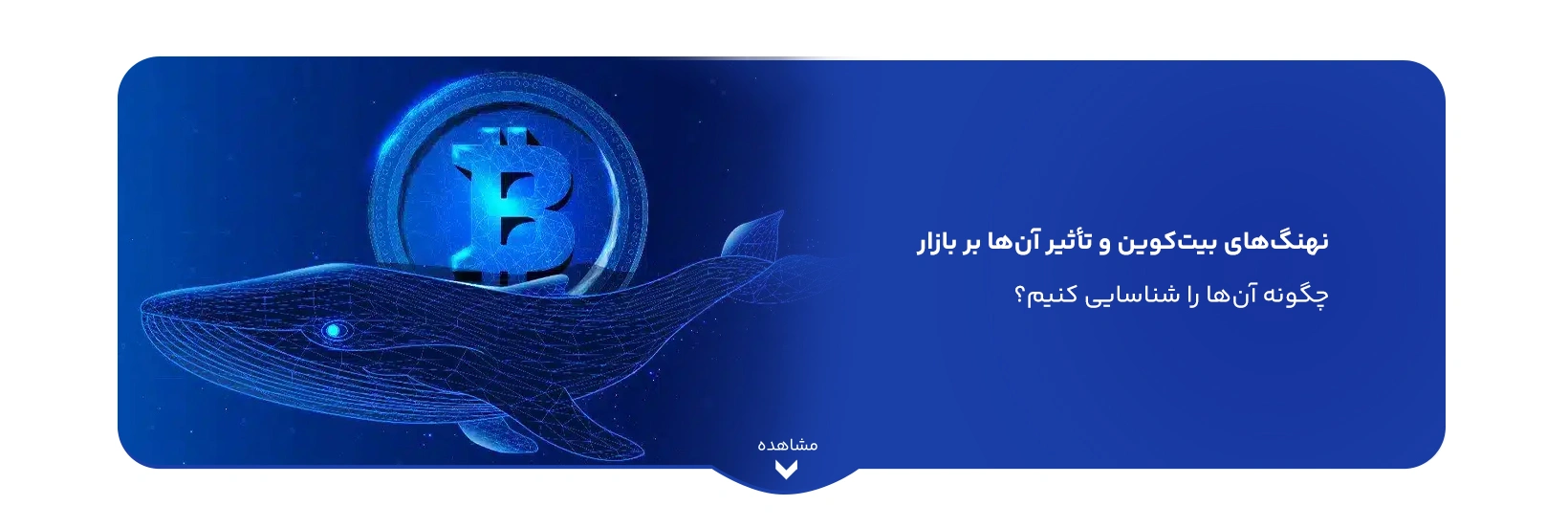 what-are-bitcoin-whales-and-how-to-spot-them