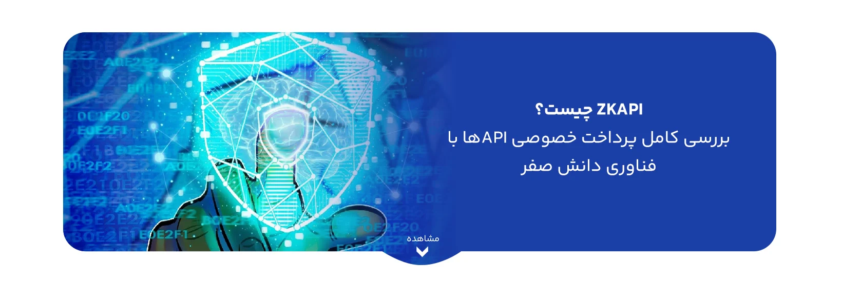 what-is-zkapi-private-api-payments